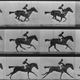 Photo: Eadweard Muybridge/Stringer/Getty Images